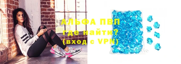 индика Покачи