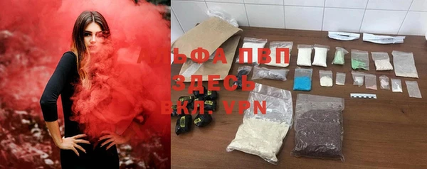 индика Покачи