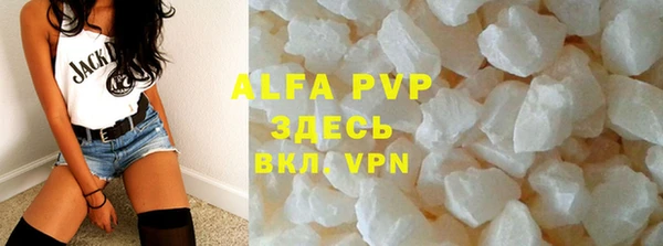 индика Покачи