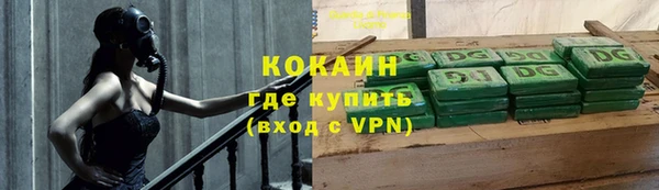 индика Покачи