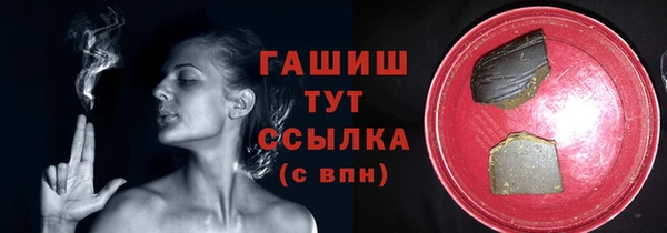 индика Покачи