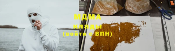 индика Покачи