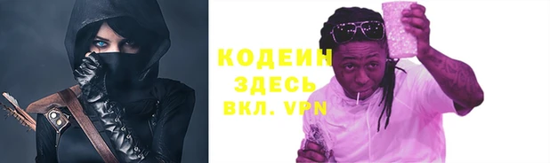 индика Покачи