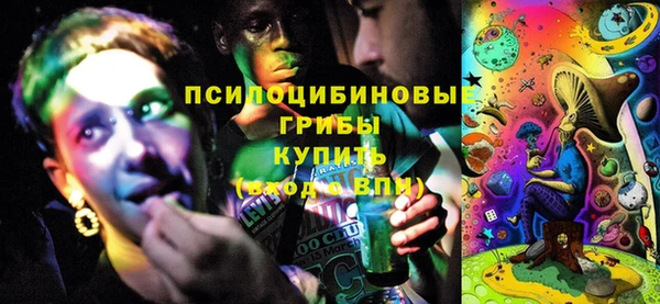 индика Покачи