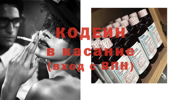 индика Покачи
