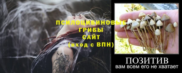 индика Покачи