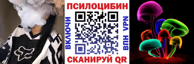 Псилоцибиновые грибы Psilocybe Калининград