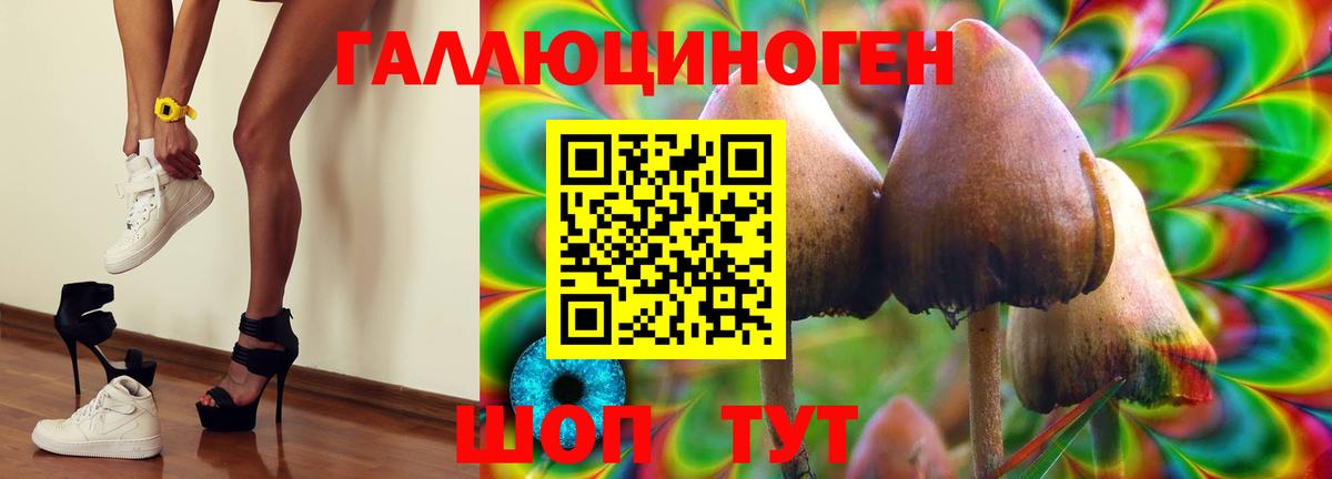 Псилоцибиновые грибы Cubensis  Галлюциногенные грибы мухоморы  Вход с VPN  где можно купить наркотик  Калининград 