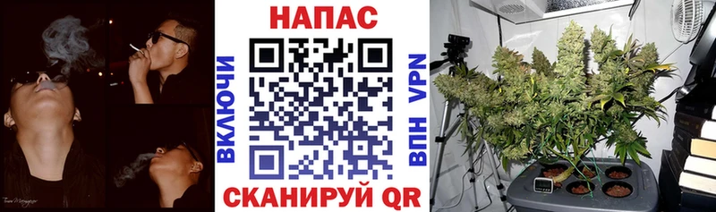 Канабис конопля Калининград